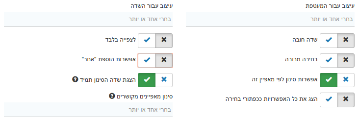 אפשרות הגדרת שדה אשר ניתן יהיה לסנן לפיו והשדה סינון שלו יוצג תמיד מעל הטבלה