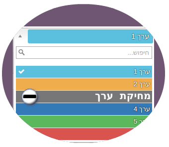 מחיקת פריטים משדה בחירת אפשרויות