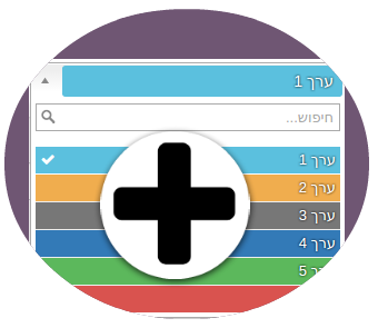 הוספת שדה / מאפיין מותאם אישית
